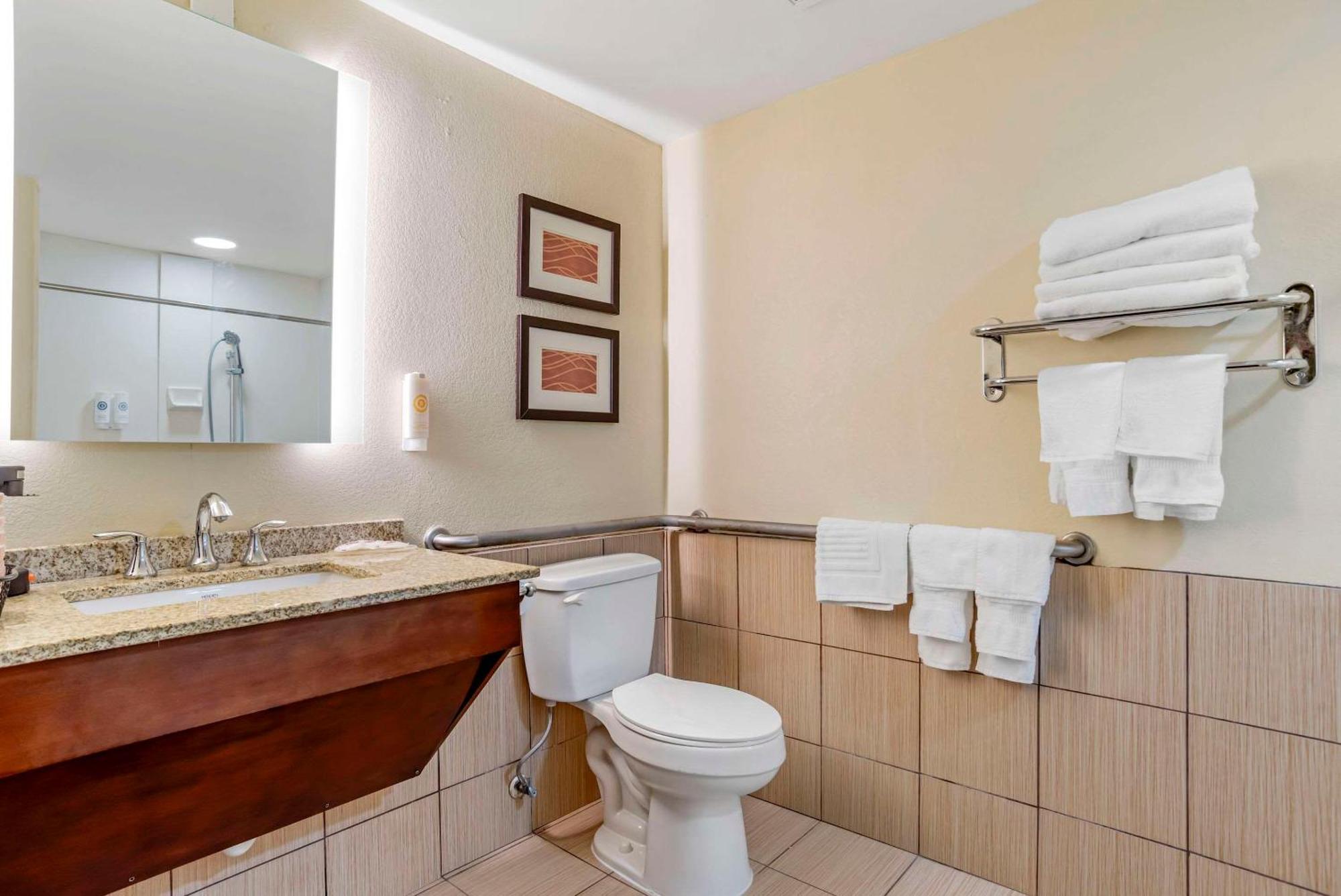Comfort Inn Opelika - Auburn Luaran gambar