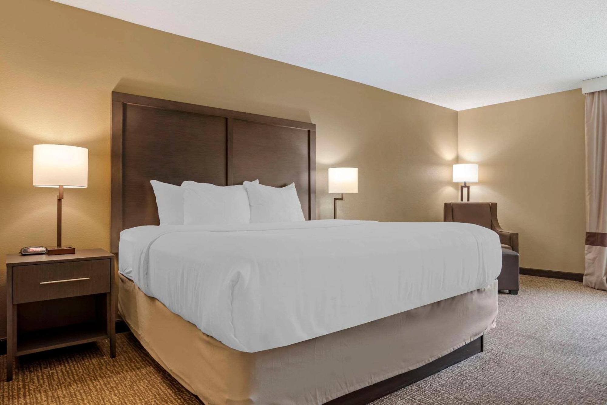 Comfort Inn Opelika - Auburn Luaran gambar
