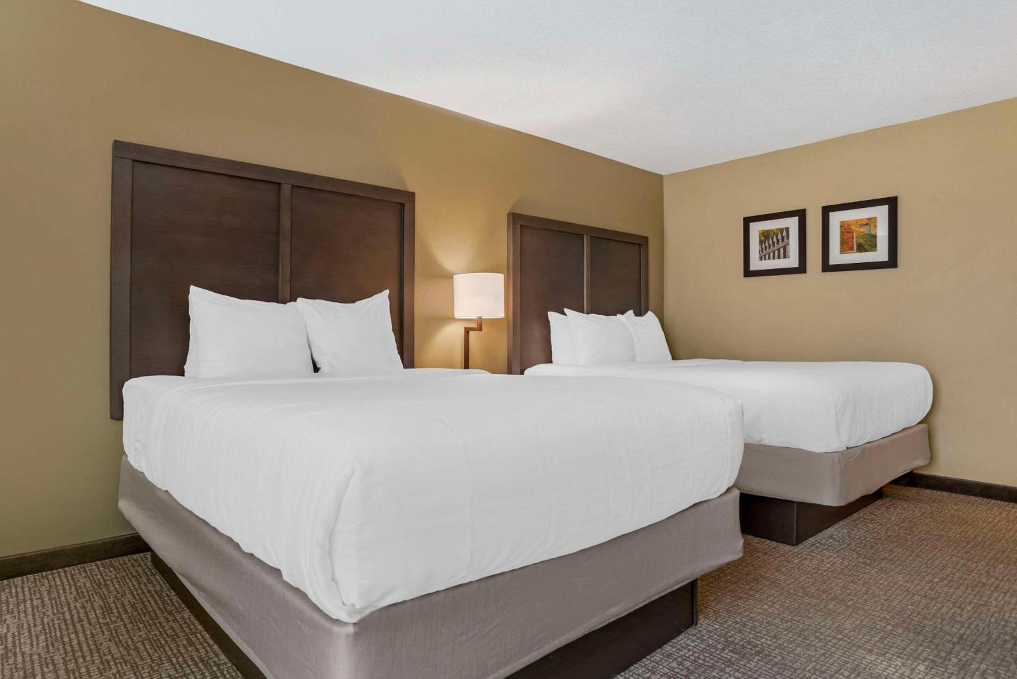 Comfort Inn Opelika - Auburn Luaran gambar